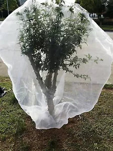 Agfabric 72"x72" Plant Cover In-shape Bag Rope Insect Barrier Insect Netting - Picture 1 of 4