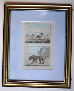 ANTIQUE FRENCH HAND COLORED ANIMAL BOOKPLATE ENGRAVING PRINT LE DOGUE DOG - Picture 1 of 2