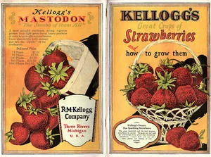 Erdbeeren & wie man sie anbaut 1927 Katalog R M Kellogg Co Three Rivers MI - Bild 1 von 8