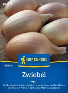 Zwiebel Ingot Große, längliche Speisezwiebel  gut Lagerfähig Samen  1051600 - Bild 1 von 2