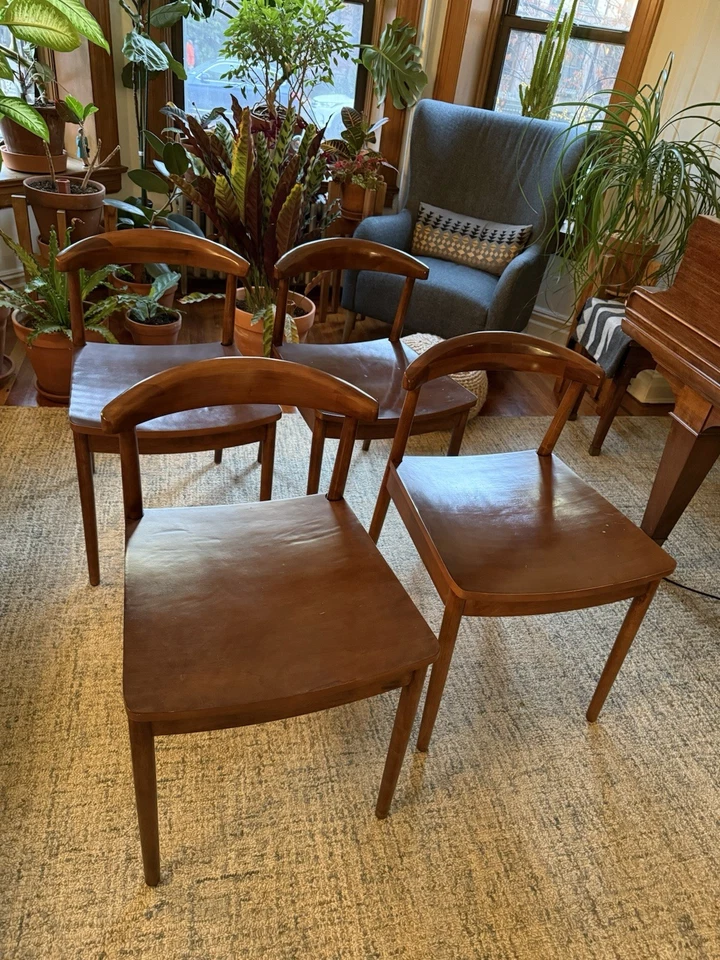 Cadeira de jantar West Elm “Lena” conjunto de 4 álamos com acabamento expresso - Imagem 1 de 4