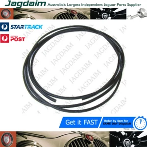New Jaguar Daimler XJ6 XJ12 XJS E-Type S-Type Screen Filler Rubber BD48847 - Picture 1 of 2
