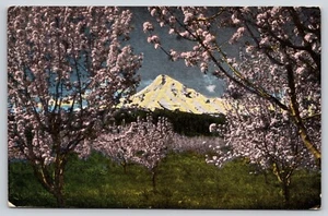 Postal Mt Hood at Apple Blossom Time Portland Oregon Volcán Lino - Imagen 1 de 2