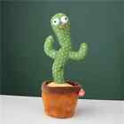 Dancing Cactus | Talking Cactus | Early Education Toy For Kids For Sale