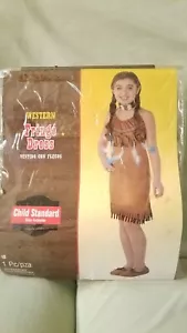 western fringe native American dress costume - Picture 1 of 3