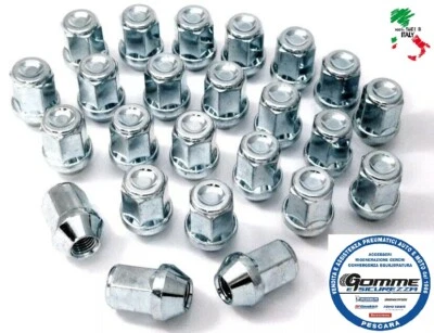 KIT 20 DADI RUOTA Tutte le FORD vedi elenco auto C-MAX FOCUS FIESTA KUGA PUMA - Imagen 1 de 2