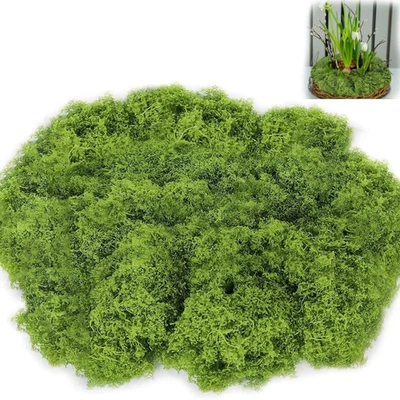 200g Moos zum Basteln Kunstmoos zum Dekorieren, Grün Künstliches Moos für krippe