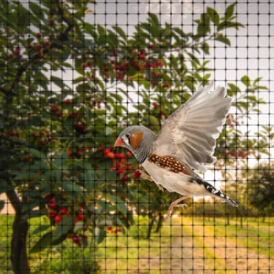 HEAVY DUTY FRUIT VEG CAGE NETTING ANTI BIRD FLY GARDEN POND NET PROTECTION MESH - Image 1 of 4