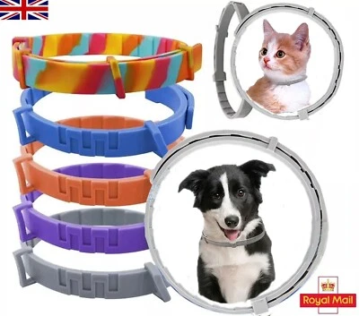 LOCASO 8 Month Protection Pet Flea and Tick Collar Antiparasitic Cat Collar