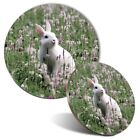 Mouse Mat & Coaster Set - White Wild Rabbit Nature Meadow Flowers  #46427