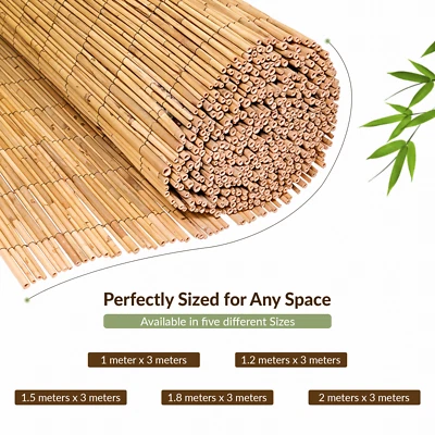 Slat Reed Bamboo Screening Privacy Fencing Garden Canes Heavy Duty Windscreens - Image 1 of 4