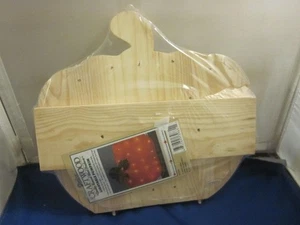 Calabaza de madera Darice 9178-44 nueva sellada madera artesanal EE. UU. CALABAZA ILUMINABLE - Imagen 1 de 3
