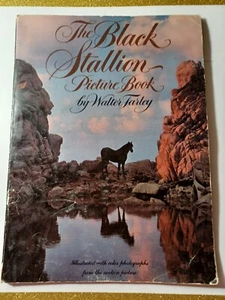 The Black Stallion Picture Book - Picture 1 of 4
