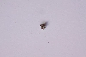 Omega 1010 1020 part 1454 Petit renvoi de roue d'armage NOS - Picture 1 of 1