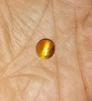 Cabujón redondo ópalo ojo de gato amarillo dorado natural 6,3 quilates 11,5 x 11,4 x 8,7 mm Foto 1 de 4