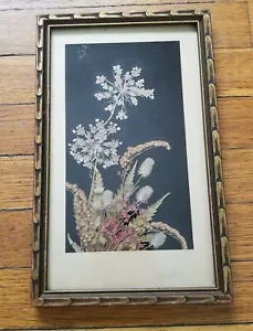 Vintage Dried Wild Flower Framed Artwork Velvet Background 1940s New England  - Picture 1 of 7