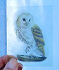 Stained glass Owl piece traditional kiln fired painted 10 cm x 7 cm owls birds