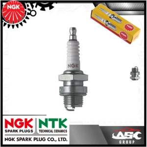 Neue NGK Zündkerze für AGRIA Rasenmäher Baby 2100 (18 mm Stecker) - Bild 1 von 1