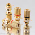 4 Gold BINDING POSTS Insulated Speaker Sockets fit 4mm Banana Plugs Connectors