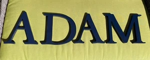 Pottery Barn Kids 8" Wooden Wall Letters – ADAM – Navy Blue - Picture 1 of 9