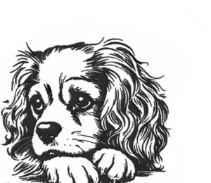 Camiseta King Charles Cavalier Cachorro Perro Bordada Personalizada 2X - Imagen 1 de 3