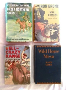 4 HC VINTAGE Westerns HELL-CRAZY RANGE, THE IRON BRONC, UNDER NORTHERN STARS + 1 - Picture 1 of 19