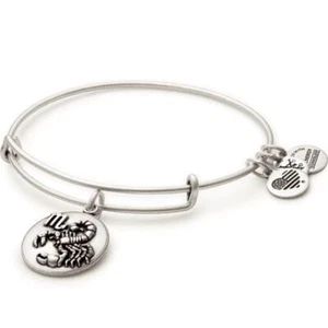 Alex und Ani Skorpion Charm Armreif - Bild 1 von 2