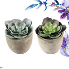 2 Artificial Cacti Plants with Concrete Pots for Home/Office Decor