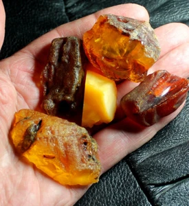 Rough genuine Baltic amber - Very nice pieces - Picture 1 of 2