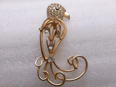 Broche de loro con diamantes de imitación cabeza pavé transparente contorno cuerpo cola remolino con acento de piedra Foto 1 de 4