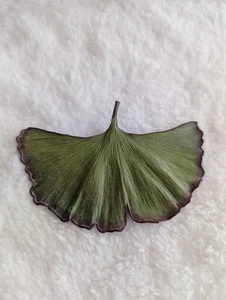 Natures Creations Ginkgo Leaf Copper Brooch Pendant Green Finish Handcrafted USA - Picture 1 of 9