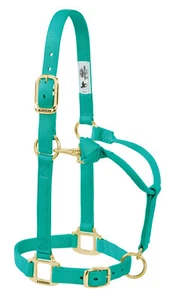 Weaver Leather Original Adjustable Nylon Horse Halter, Small,Emerald,35-7034-EG - Picture 1 of 1