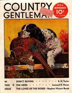 1934 Country Gentleman November - J F Kernan; Pointer;Can trees reclaim weather - Picture 1 of 1