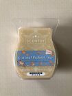 Scentsy Caramel Praline Cake Wax Bar Holiday Collection 2023 - New In Package