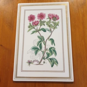 Vintage 1983 Royal Worcester Wall Tile Plaque, Botanical Studies, Potentilla - Picture 1 of 5