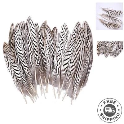 Plumas de plumaje de faisán plateado de 7-10 pulgadas para decoración de bodas en el hogar 10 un. Foto 1 de 4