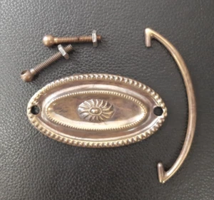 Martins Mango Placa Ovalada Latón Antiguo 3.5" (1635AB35) - Imagen 1 de 3