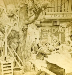 France Paris Cabaret Wine Four Sub old Stereo Photo 1865 - Foto 1 di 3
