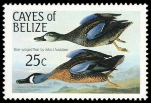 BELIZE CAYES 22 - John James Audubon "Blue-winged Teal" (pb80995) - Picture 1 of 1