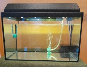 20 Liter Aquarium mit Zubehör - Bild 1 von 15