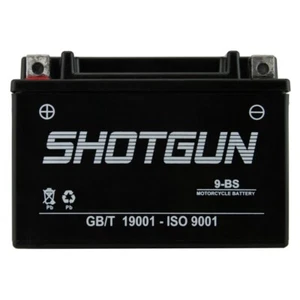 YTX9-BS ATV Battery Honda TRX250 TRX300 TRX400 TRX700 Fourtrax Sportrax NEW AGM - Picture 1 of 11