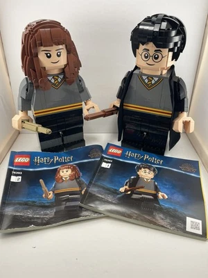 LEGO 76393 - Harry Potter y Hermione Granger COMPLETO con instrucciones  Foto 1 de 4