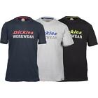 Dickies Rutland Tee navy, grey & black multicoloured cotton T-shirts (pack 3)