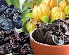 Ceylon Goraka (Garcinia Cambogia) Natural High Quality Sri Lankan Spices Product