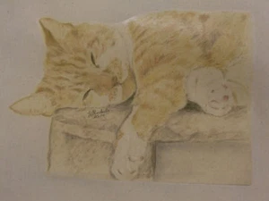 Bolsa de algodón impresa con diseños únicos de gato dibujados - Imagen 1 de 6