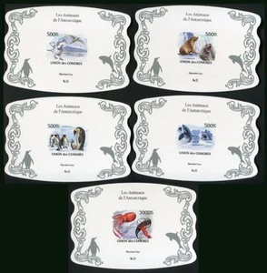 IMPERF 2010 COMOROS PENGUINS ANTARCTICA FAUNA ! SILVER ! CARDBOARD 5 LUX BL MNH - Picture 1 of 1