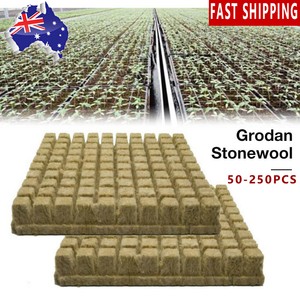 无品牌rockwool 岩棉栽培基质的水培 Ebay