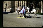Young Woman On Horse At Seville, Spain In 1954, Kodachrome Slide Aa 9-30A