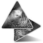 2 X Triangle Stickers  7.5Cm - Bw - Cute Baby Hedgehog Pygmy Albino  #36298