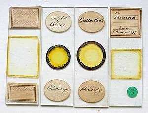4 x ANTIQUE POLAR MICROSCOPE SLIDES, SELENITE (R/G) & CHEMICALS - Picture 1 of 4
